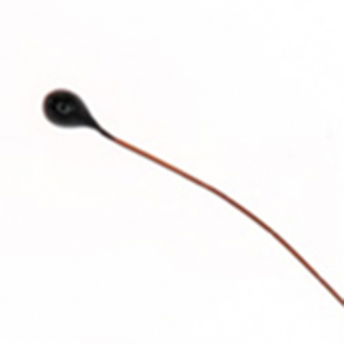 THERMISTOR NTC .065"DIA 10K OHM - MC65F103B