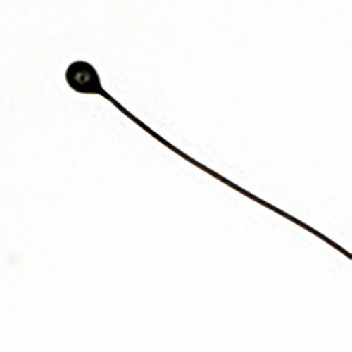 THERMISTOR NTC .065"DIA 10K OHM - MC65F103C - Click Image to Close