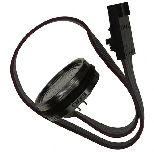 SENSOR 300PSIG RIBBON W/CONN - 82-300G-C