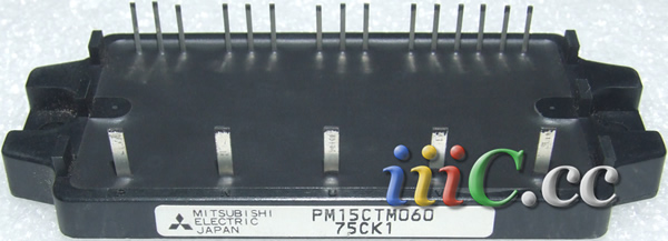 PM15CTM060